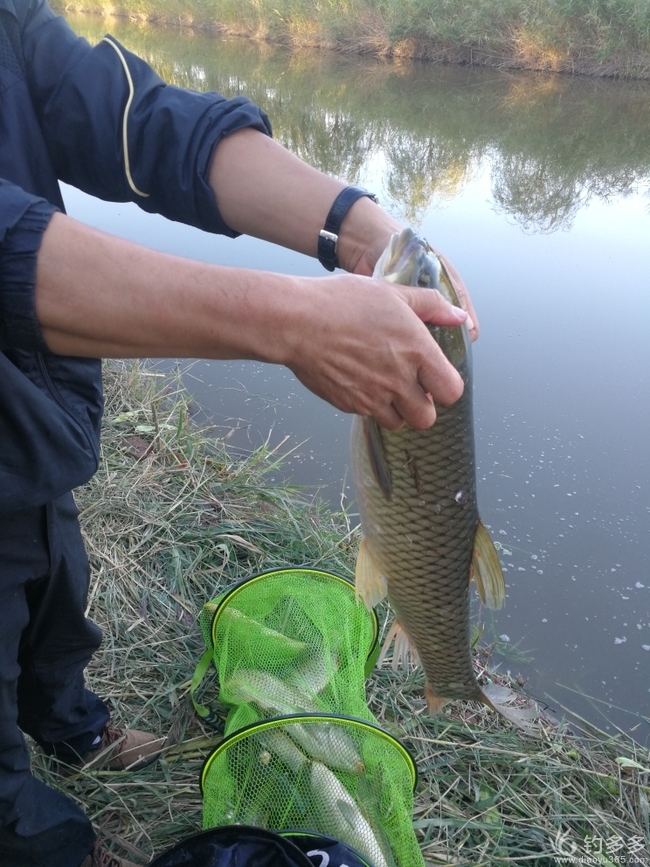 奧金釣魚竿現在好弄嗎_奧金釣魚竿和釣魚神器_奧金釣魚竿
