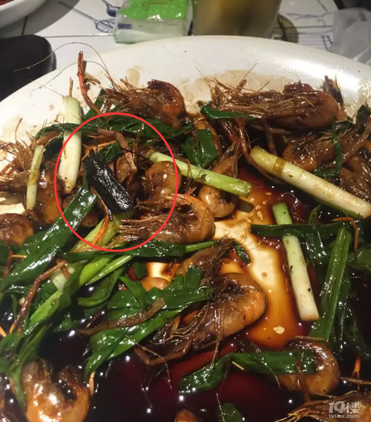 海馬屬于魚類還是哺乳類_海馬屬于魚類的依據_海馬屬于魚類嗎