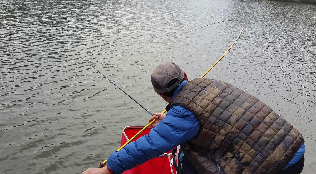釣魚秋季應該釣哪里_秋季釣魚_釣魚秋季用什么魚餌最好