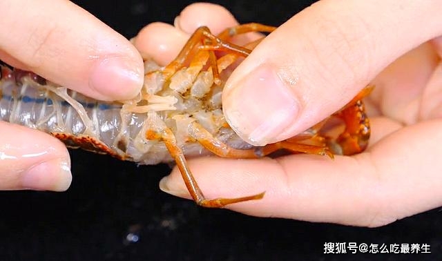 小龍蝦怎么清洗和處理_飯店是怎么清洗龍蝦_小魷魚仔怎樣清洗處理
