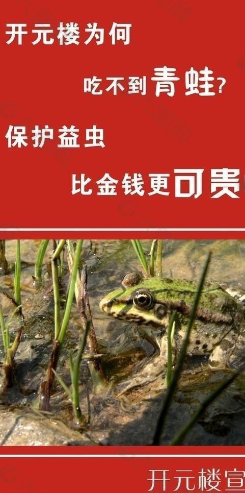 青蛙的特殊本領是什么？能手、歌唱家、運動健將、偽裝高手