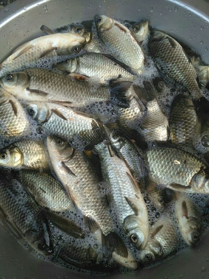 死魚正口 李宗盛山丘中是什么意思，你是哪一首？