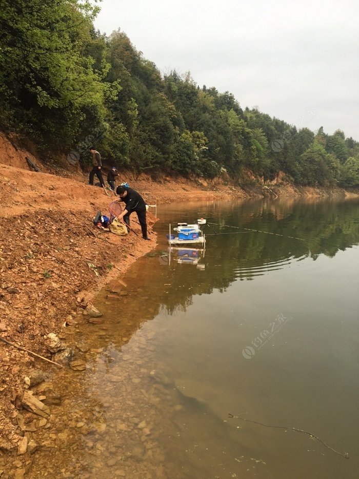 杭州釣魚_杭州釣魚去處_杭州釣魚圣地