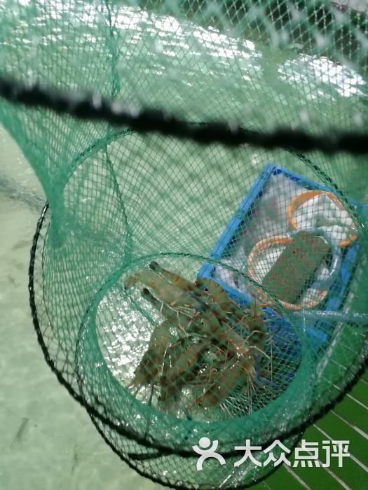 合肥釣魚2021_合肥釣魚_合肥釣魚吧百度貼吧