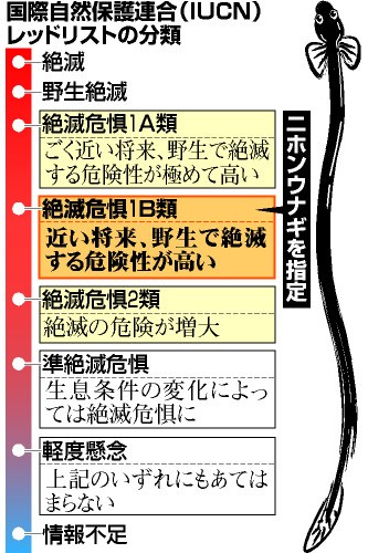 日本石龜好養嗎_日本石龜_日本石龜能深水養嗎