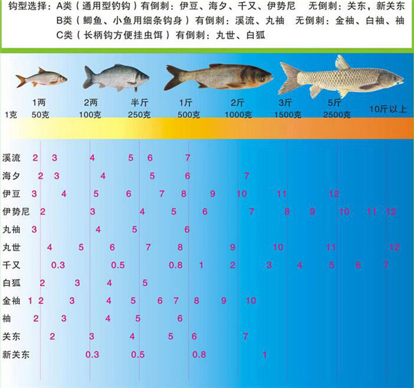3號魚鉤釣多大的魚_釣多大魚用幾號鉤_多大魚鉤釣多大魚