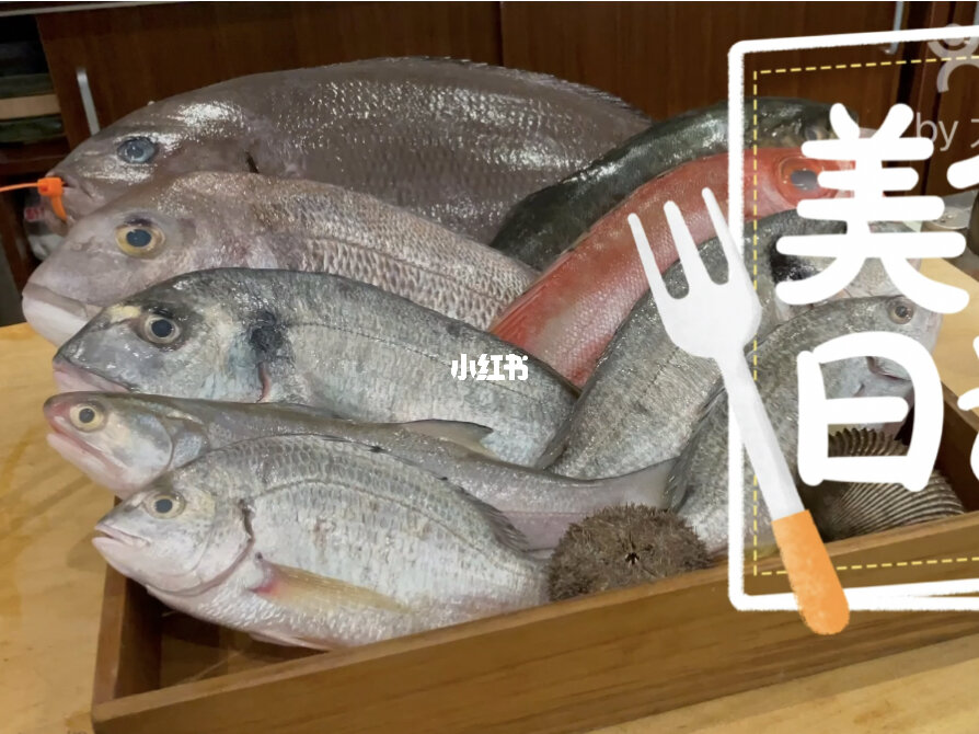 新鮮的夜鱗鯛魚有魚群嗎_新鮮的夜麟鯛魚_新鮮的夜鱗鯛魚