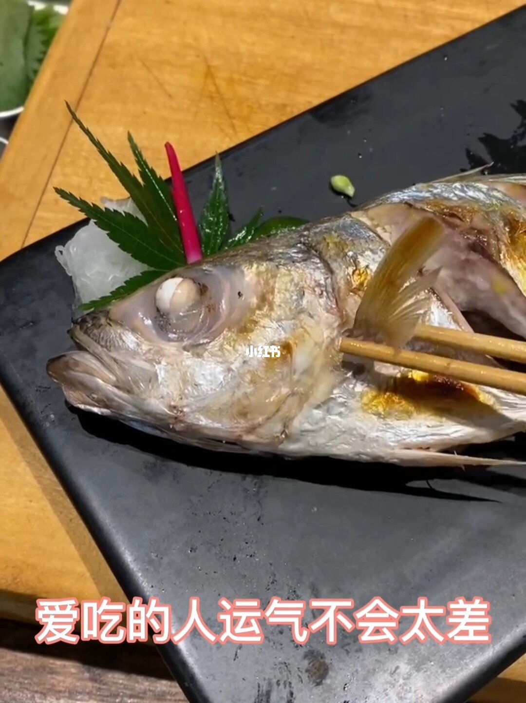 新鮮的夜麟鯛魚_新鮮的夜鱗鯛魚有魚群嗎_新鮮的夜鱗鯛魚