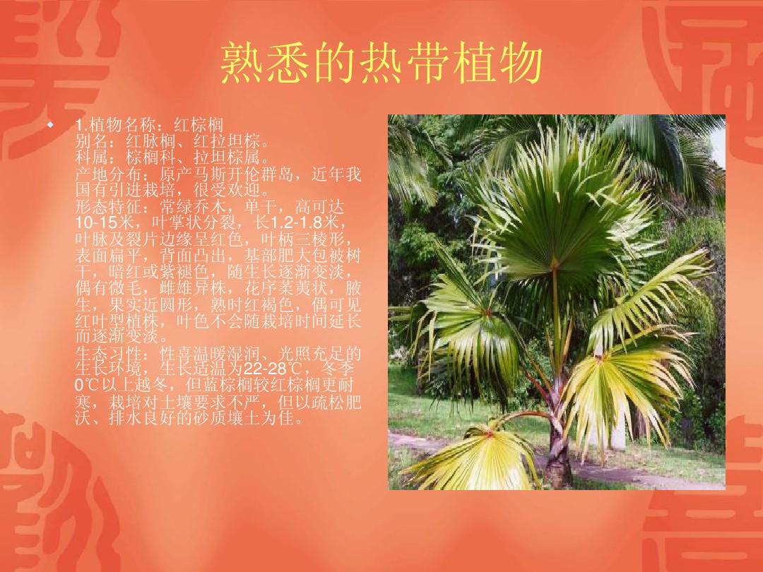 劍魚的劍是用來干什么的_劍魚是什么魚_劍魚別名