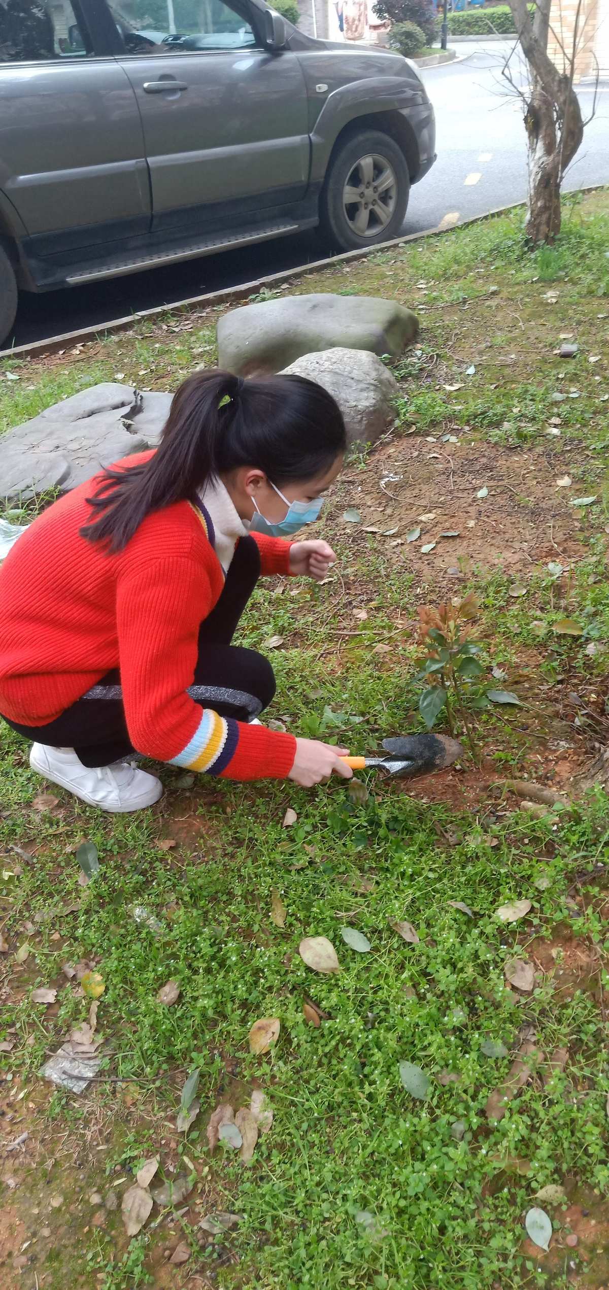 銀龍魚水溫過高怎么救它_銀龍魚水溫_銀龍魚水溫32度要緊不