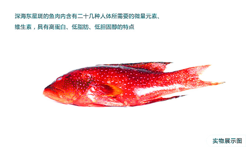 銀龍魚水溫34度_銀龍魚水溫_銀龍魚水溫度30度