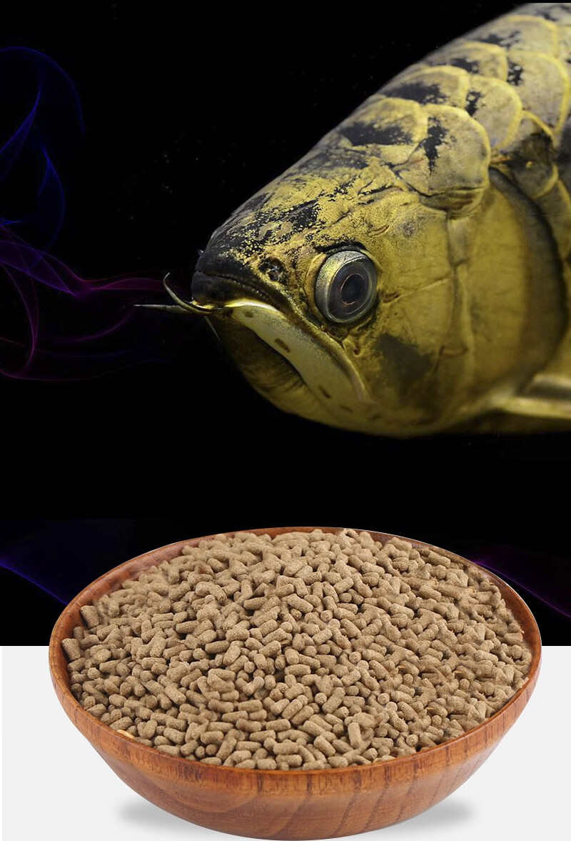 帶刺的誘惑外掛硬刺雄性黃顙魚養殖賺錢嘎嘎叫