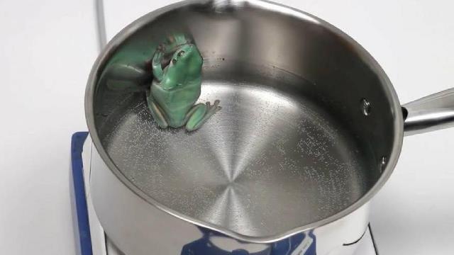 溫水煮青蛙_溫水煮青蛙_溫水煮青蛙