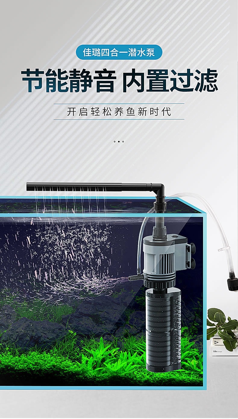 養魚家庭農場的基本情況怎么寫_家庭養魚_養魚家庭三件套