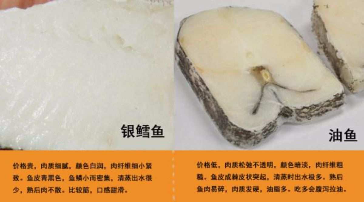 油魚和鱈魚的區別_鱈魚魚油是不是魚肝油_鱈魚油魚的區別