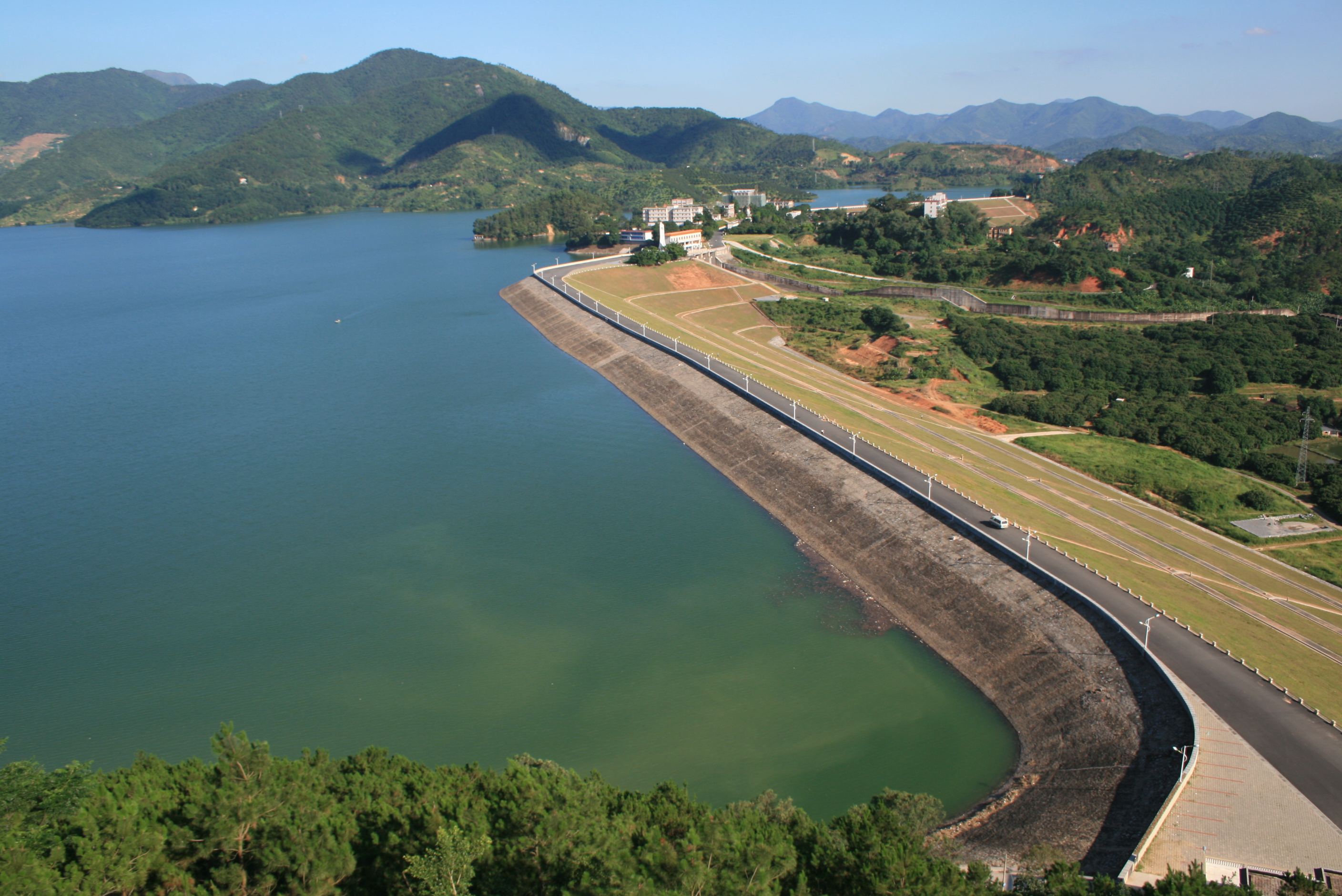 池沼公魚的危害_池沼公魚_夏季池沼公魚怎么釣