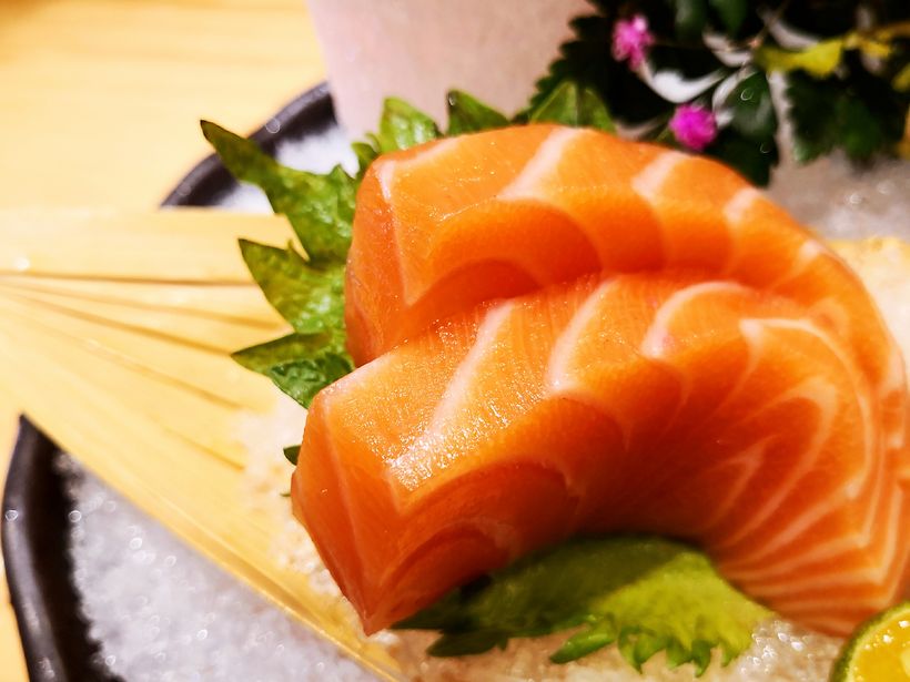 藍鰭金槍魚_籃鰭金槍魚_藍鰭金槍魚金槍魚