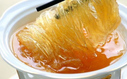 魚翅是鯊魚的什么部位_魚翅是什么_魚翅是從什么魚身上割下來的