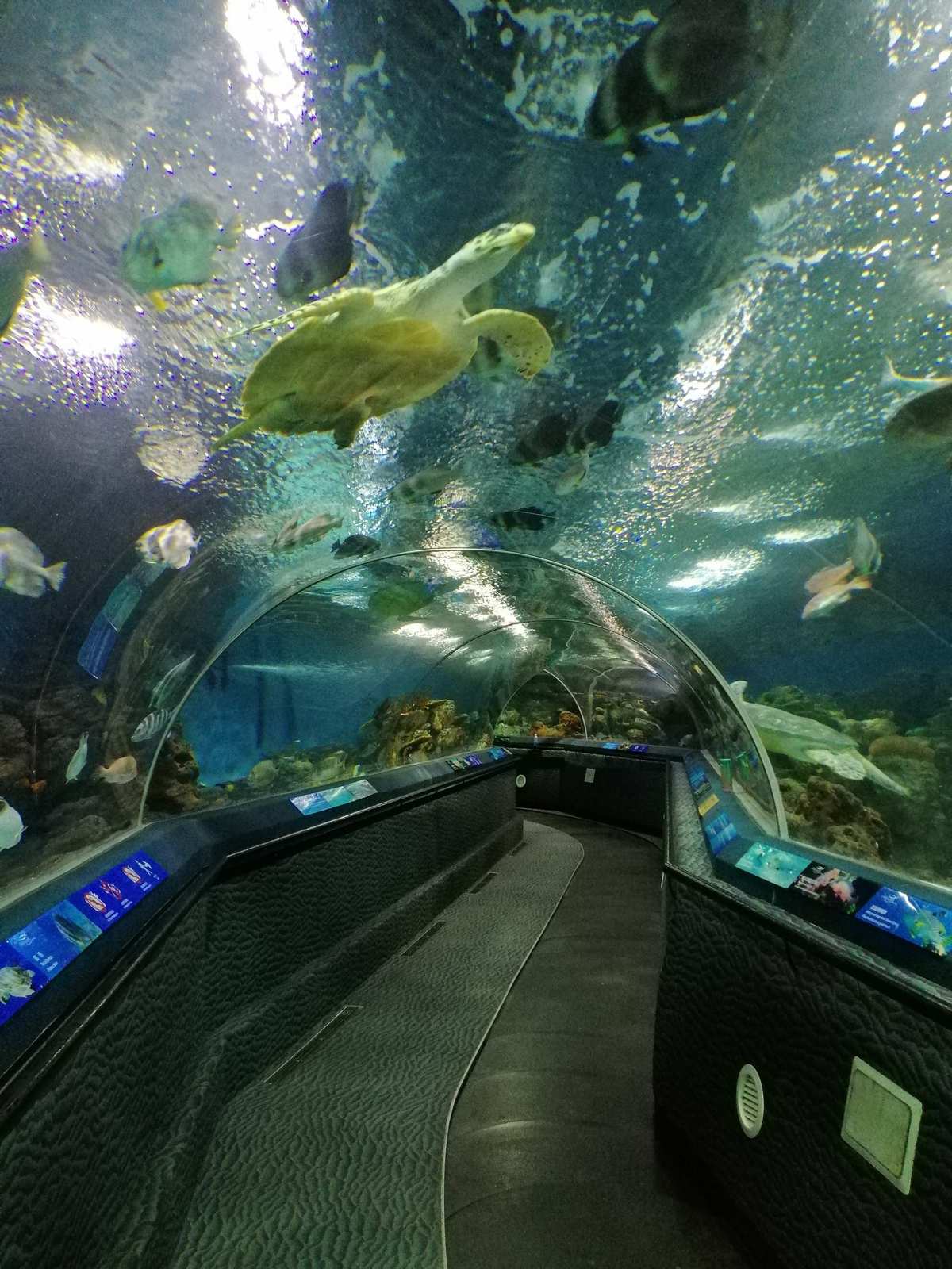 海洋水族館介紹_海洋水族館_海洋水族館官網