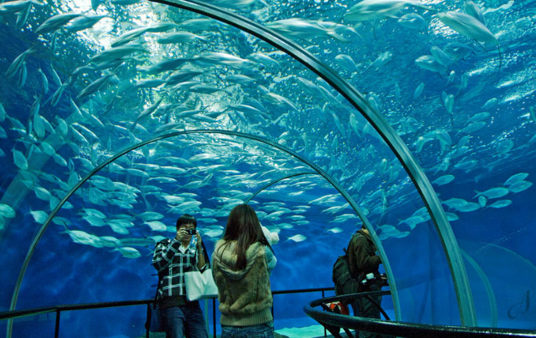 海洋水族館官網_海洋水族館_海洋水族館介紹