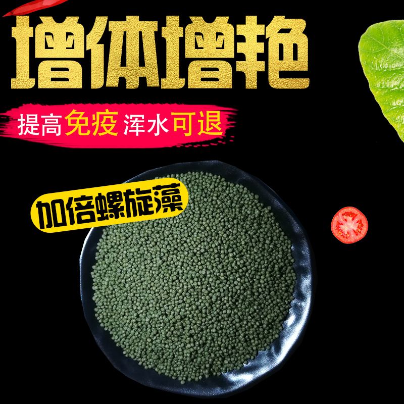 金魚怎么養_金魚養不活_金魚養幾條最好最旺財