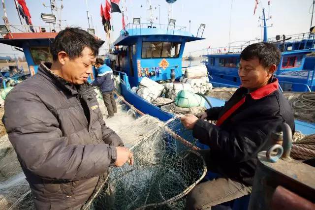 長江刀魚_長江刀魚_長江刀魚
