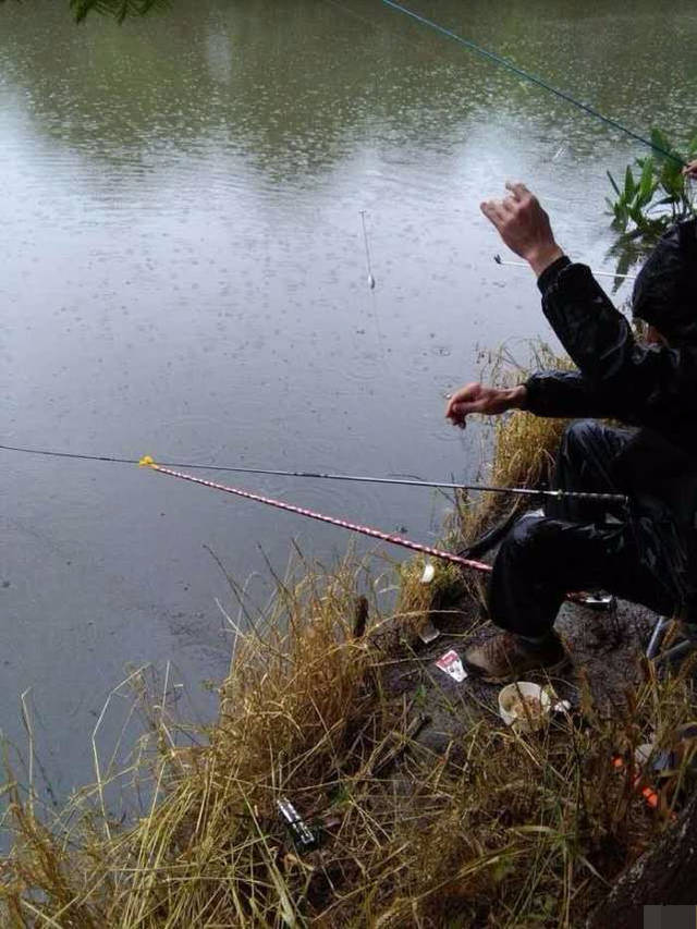 下雨天釣魚釣深還是淺_下雨天釣深釣淺_下雨天釣淺水還是深水