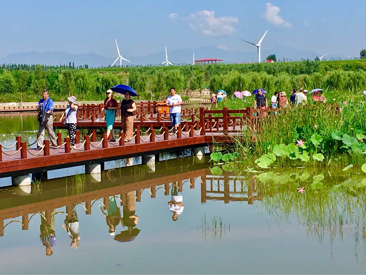 漢石橋濕地_漢石橋濕地公園_漢石橋濕地感受