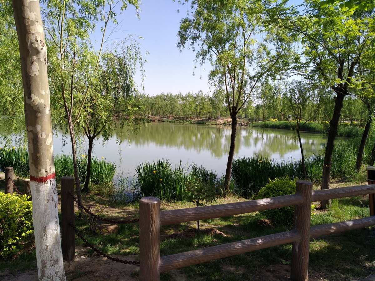 漢石橋濕地_漢石橋濕地感受_漢石橋濕地公園