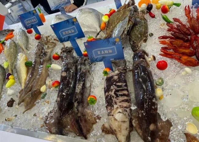 威海漁具廠家排名_威海漁具_威海漁具魚竿十大排名
