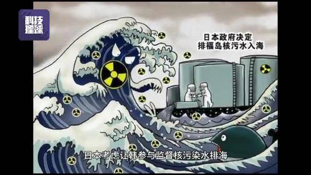 水產養殖石斑魚_養殖的石斑魚_石斑魚養殖