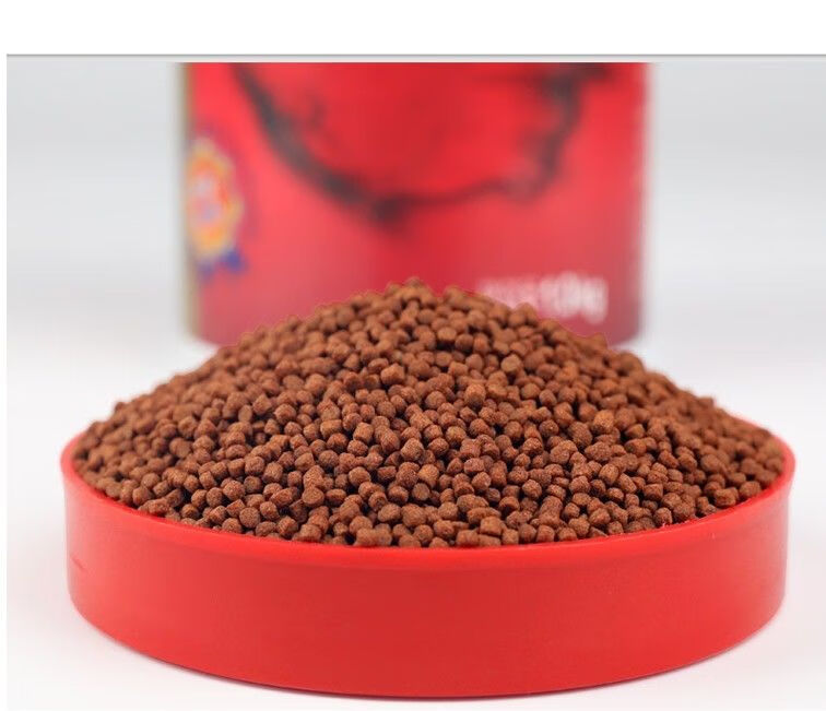 血鸚鵡魚有筑巢和打斗的現象，怎么避免這種情況哪？