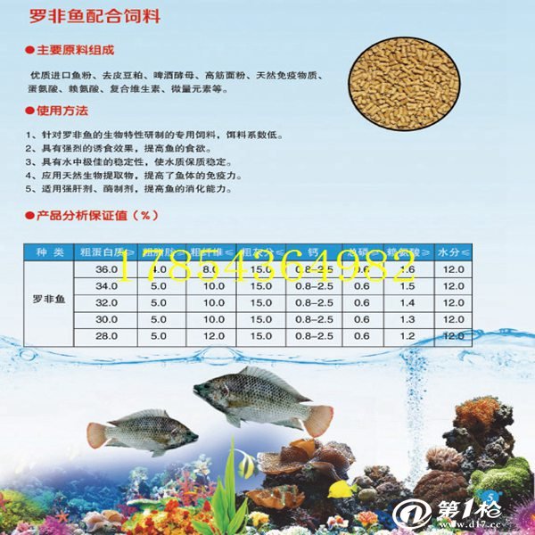 埃及塘角魚圖片_埃及塘角魚的功效與作用_埃及塘角魚