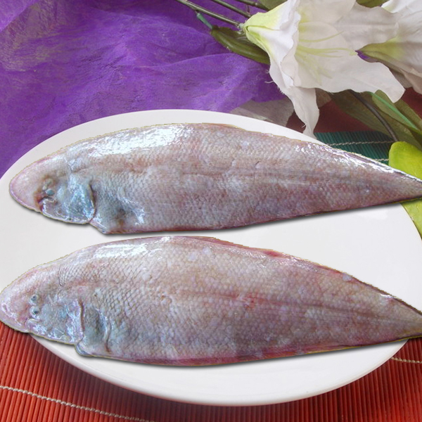 龍利魚的價格_魚龍利魚_利龍魚是海魚嗎