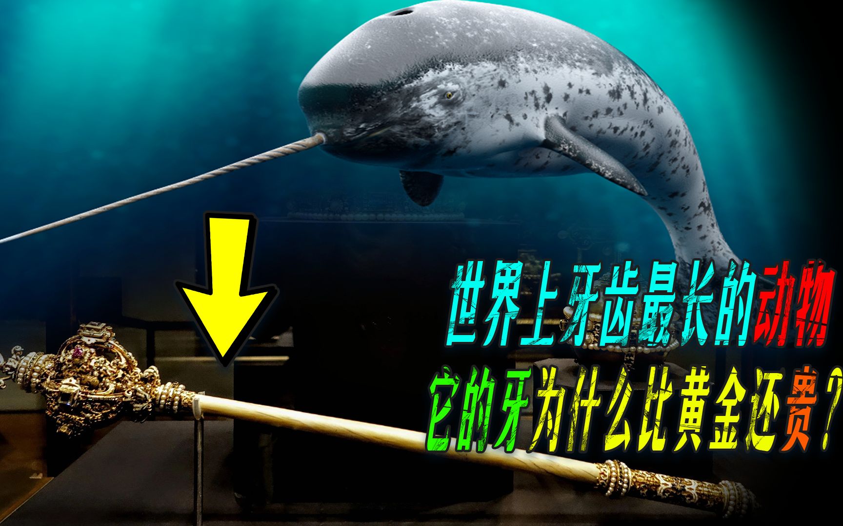 雙獨角鯨滅絕了嗎？鯨是真實存在嗎