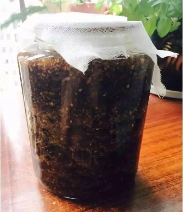 實戰好用的鯽窩料配方_鯽魚窩料配方_釣魚鯽魚窩料的絕密配方