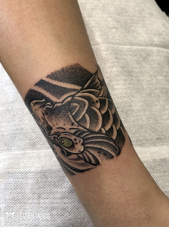 延長章魚壽命_最長壽的章魚_章魚的壽命