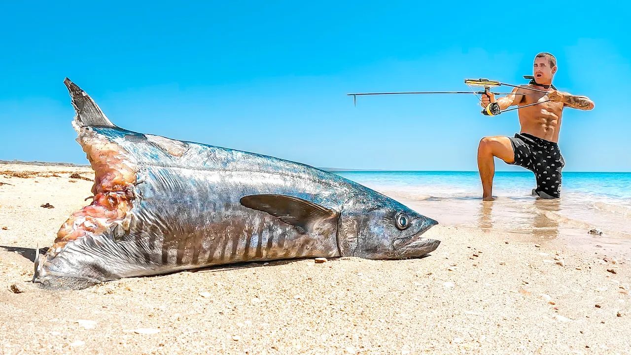 杜茲肺魚_杜茲肺魚_杜茲肺魚