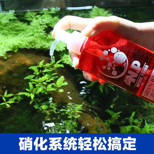 換水后添加硝化細菌，一直都降不下來！