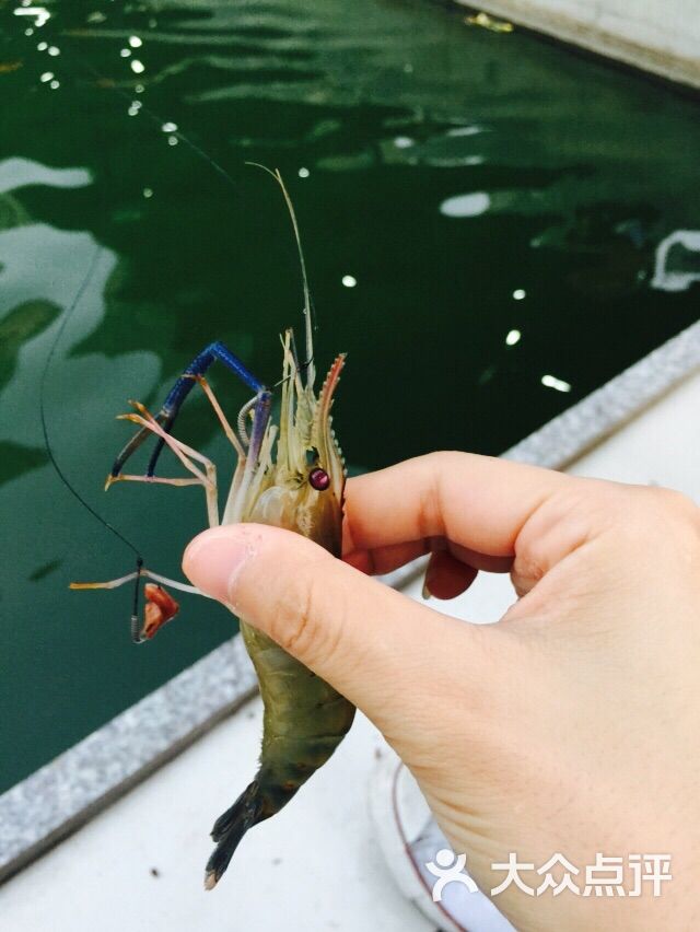 海釣魚餌制作教程_海釣的魚餌_海釣魚餌