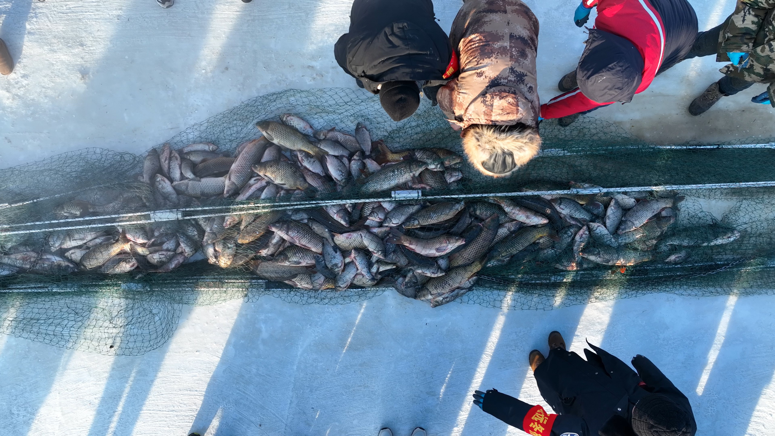 翹嘴魚多少錢一斤?_翹嘴魚鉤法_翹嘴魚是什么意思