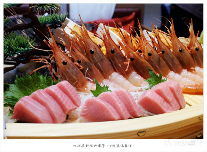 藍鰭金槍魚金槍魚_藍鰭金槍魚_藍鰭金槍魚別名