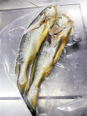 野生黃魚大概多少一斤_野生黃魚的作用_野生大黃魚