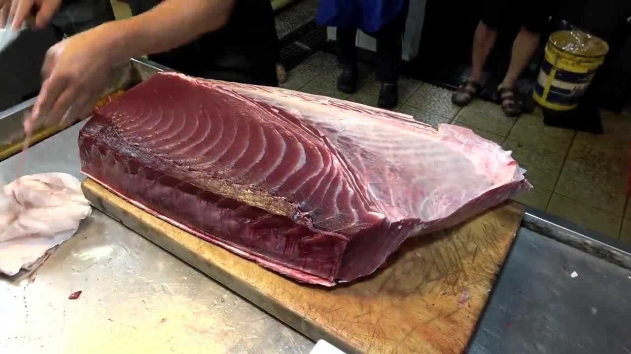 藍鰭金槍魚吃法_藍鰭金槍魚_藍鰭金槍魚auv