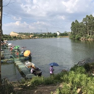 武漢釣魚網站大全_武漢釣魚_釣魚武漢強