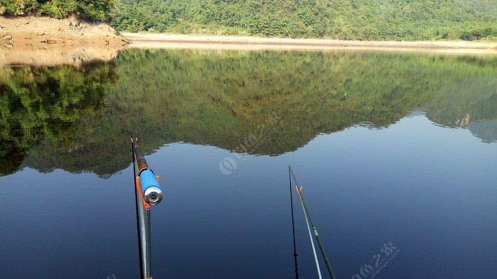 武漢釣魚網站大全_釣魚武漢強_武漢釣魚