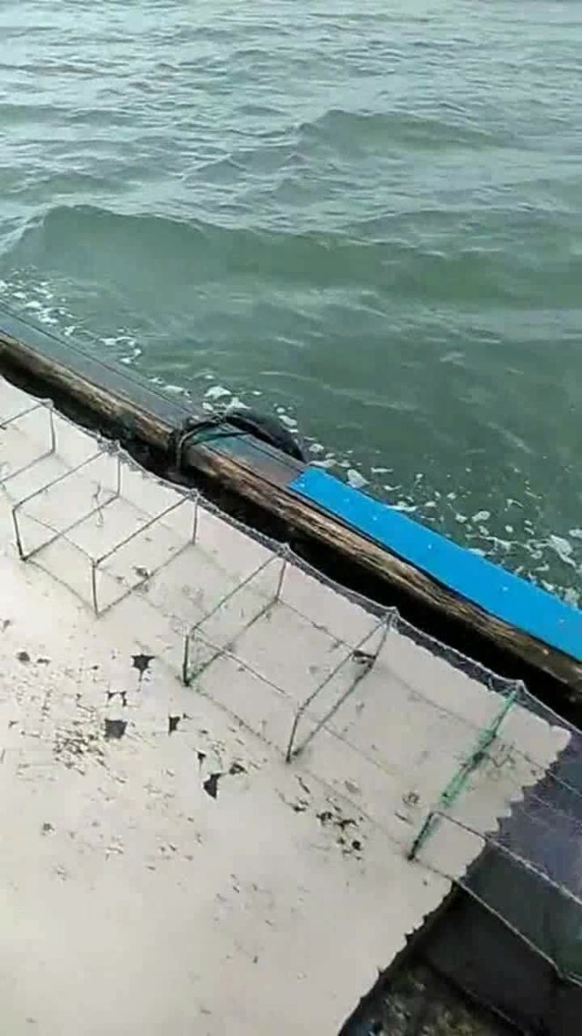 釣大魚線放長還是短_放長線釣大魚_釣魚魚線放多長