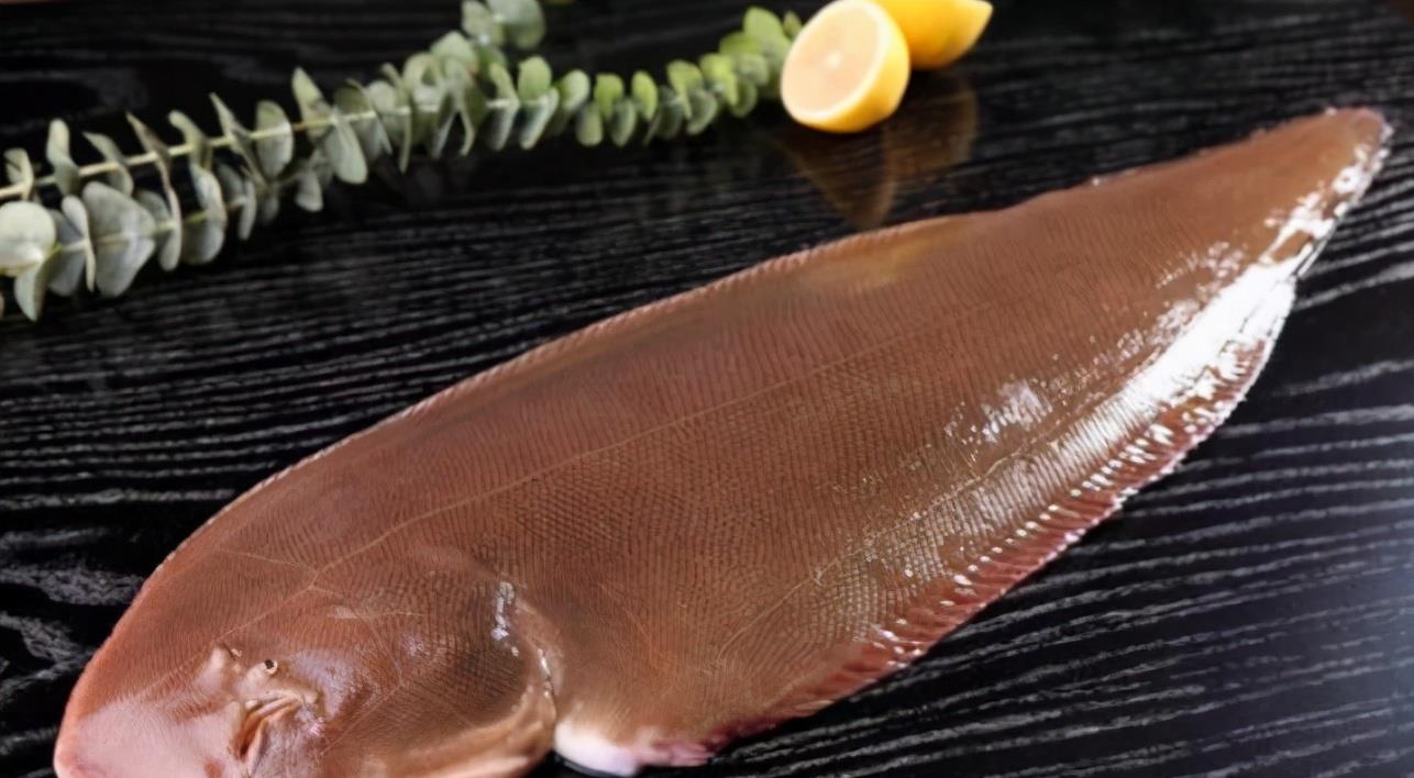 過背金龍魚價格_金龍魚價格多少錢一只紅龍_金龍魚價格