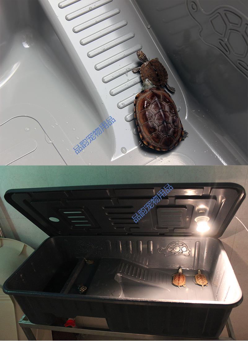 楓葉龜飼養_楓葉龜水養_楓葉龜種龜
