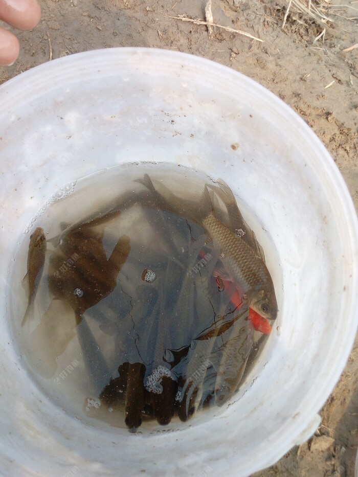 路亞翹嘴的最佳季節和時間_路亞翹嘴_路亞翹嘴魚用什么假餌釣最好